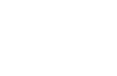 PPlus_Logo_Verticle
