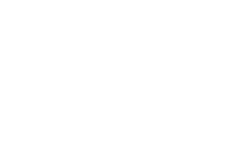 PPlus_Logo_Verticle